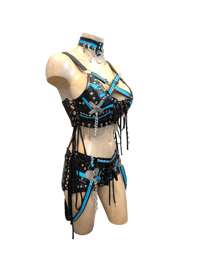 Image 3 of Black and blue 3 piece harness set.