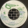 The Dreds - Respect