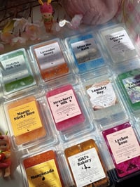 Image 1 of Jelly Wax Melts ✨
