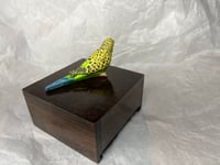 Image 9 of Custom Engraved Budgie Parakeet Handpainted To Your Photos Bird Mini Keepsake Urn Pet Portrait