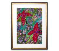 Image 3 of FLA Passionflower and Zebra Long wing