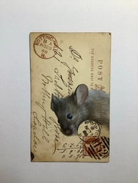 Image 1 of Mouse on Victorian postcard.