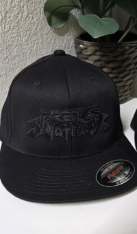 The "Phantom"  Freaks of Nature full logo 