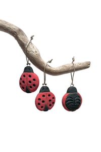 Image 1 of Ladybug Ornament