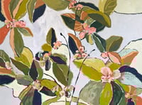 Image 1 of Olive Petals