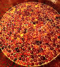 Image 5 of Rudolph's Revenge 