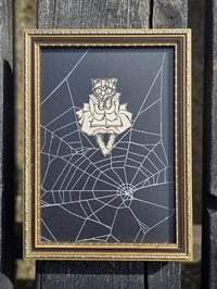 Image 2 of Antique Cat Collection - Cat engravings with real preserved web- M