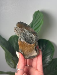 Image 1 of XL HALF POLISHED HIMALAYAN RUTILE IN QUARTZ CLUSTER E
