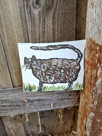 Image 9 of Cat