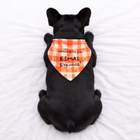 Image 3 of ΦΟΥΛΑΡΙ ΣΚΥΛΟΥ ΧΑΙΔΕΨΕ ΜΕ