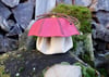 Custom Mushroom dicebag