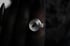 Dead Good naturally deceased Fly ring Image 12