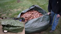 Image 3 of Taryl’s Leaf Vac Kit! 