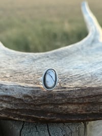 Image 1 of The Highway 52