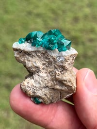 Image 14 of Dioptase Specimen | Congo #3011