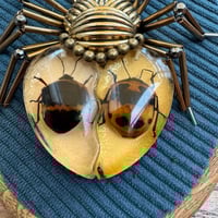 Image 2 of Specimen spider (c, 4x5  inches)