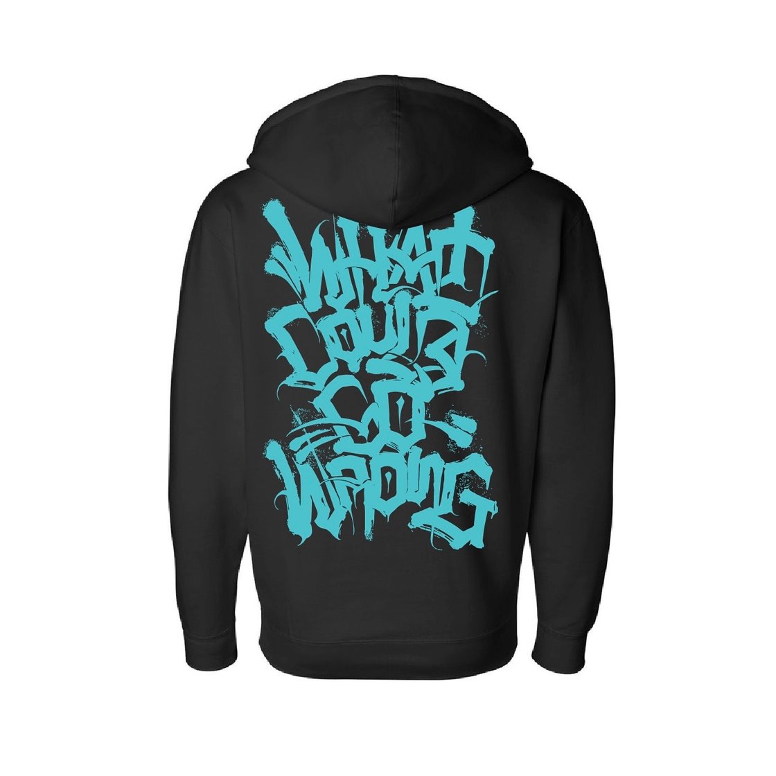 Image of WHAT COULD GO WRONG (BLK/MINT HOODIE)