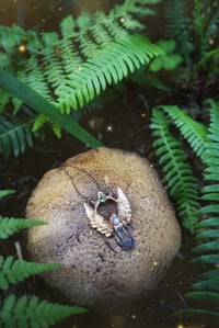 Image 1 of Mini Fern Portal 