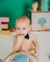 Milestone, Sitters, & Cake Smash 