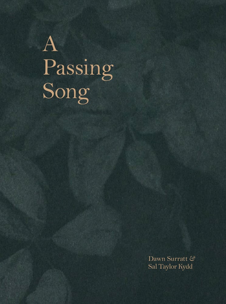 Image of A Passing Song 