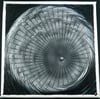 Shell - (20x20cm)