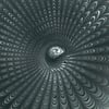Shell - (20x20cm)