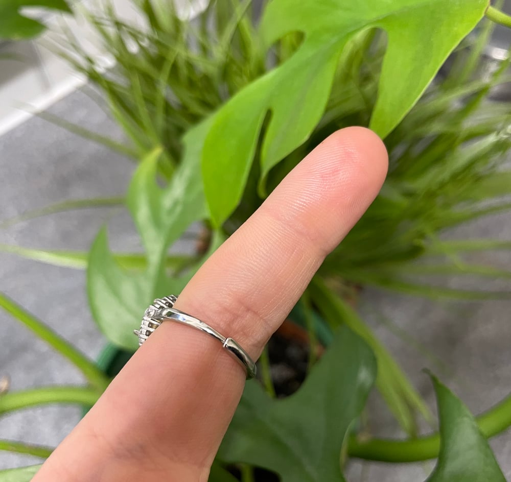 mystery ring/s