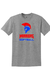 WARRIORS gray tee