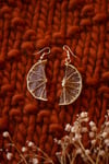 dried fruit earrings