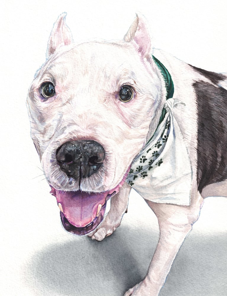 Image of Custom 9"x12" Detailed Watercolor Portrait