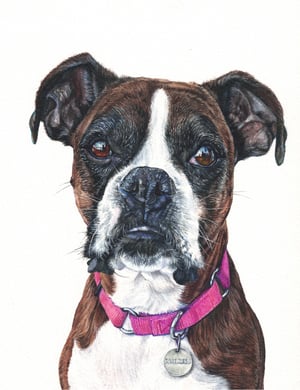 Image of Custom 9"x12" Detailed Watercolor Portrait