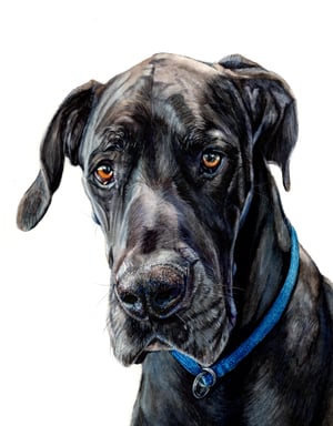 Image of Custom 12" x 16" Detailed Watercolor Portrait