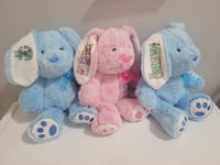 Image 2 of Personalized Plush Bunnies