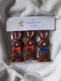 Triple chocolate bunny pack