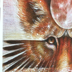 Image of LIONESS  A3 Giclee archyval paper print