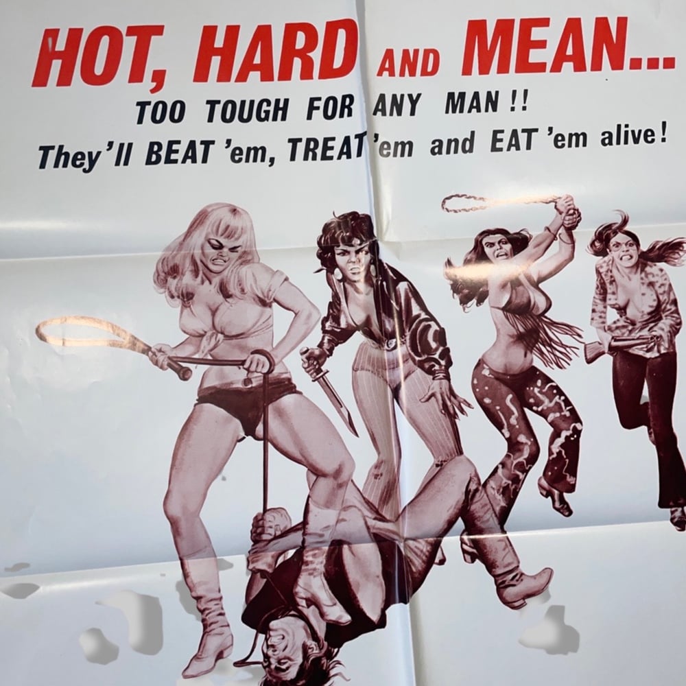 Poster: Original 1972 Angels’ Wild Women Biker Al Adamson B-Movie