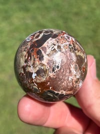 Image 5 of Money Agate Sphere #2918