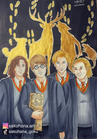 Image 1 of Harry Potter