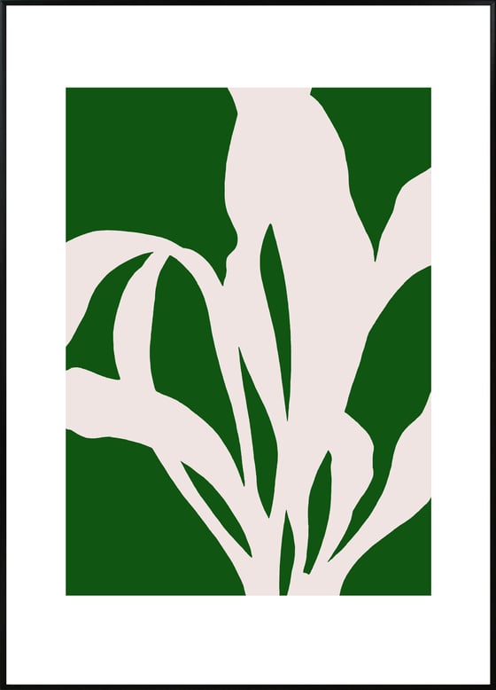 Image of Bifurcatum Green A3