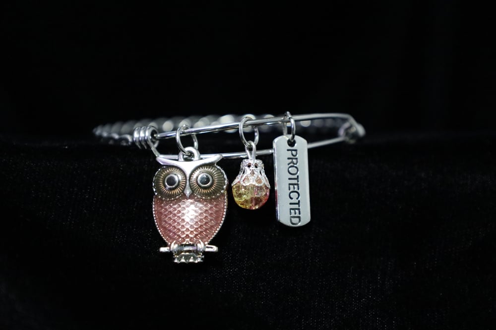   Owl and Motivational Protected Charm Stainless Steel Adjustable Bangle Bracelet