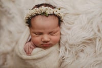 Olivia--Newborn Flower Crown--Newborn Photography Prop--Newborn Flower Halo