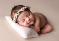 Amelia--Newborn Flower Crown--Newborn Photography Prop--Newborn Flower Halo-- Flower Crown-- Dried F