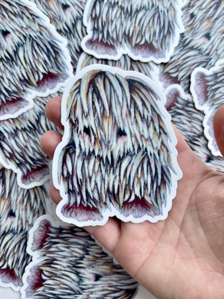 Image of Lion’s Mane Mushroom Fungi Creature Vinyl Sticker
