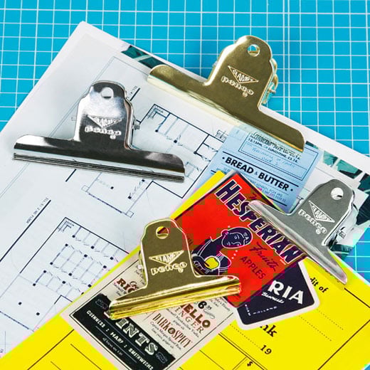 Image of Shiny Metal Clips