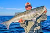 Fine Art Print / Striped Bass (18 in. x 24 in.) Signed