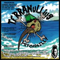 Image 3 of TERRANULLIUS - BEACHABILLY BAD BOYS (LP) PURPLE, LTD 100
