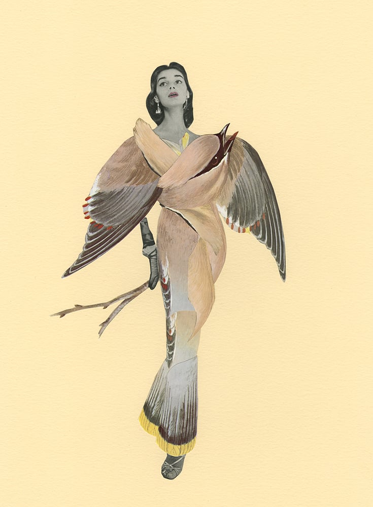 Image of Waxwing Poetic. Limited edition collage print.