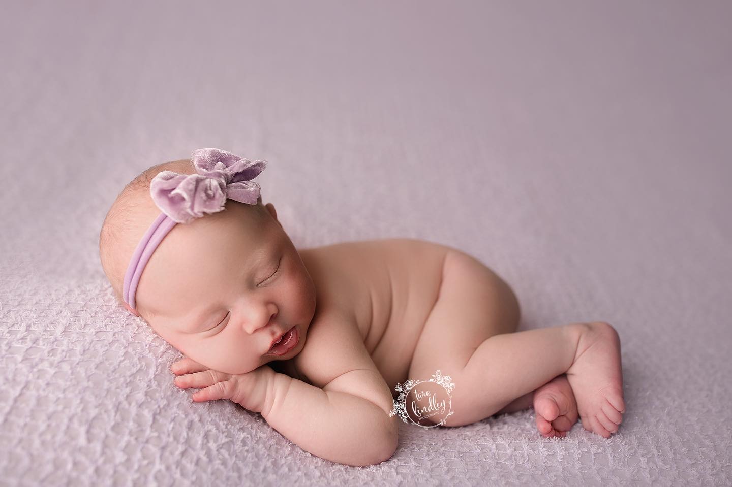 Image of Ivy Beanbag Backdrop