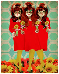 Catettes Fine Art Print