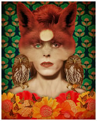 Foxie Bowie and Owls Fine Art Print